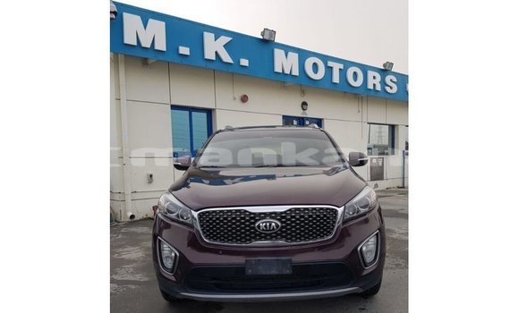 Buy Import Kia Sorento Red Car in Import - Dubai in Abhasia Buy Import Kia Sorento Red Car in Import - Dubai in Abhasia
