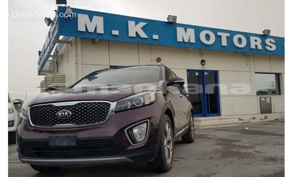 Buy Import Kia Sorento Red Car in Import - Dubai in Abhasia Buy Import Kia Sorento Red Car in Import - Dubai in Abhasia