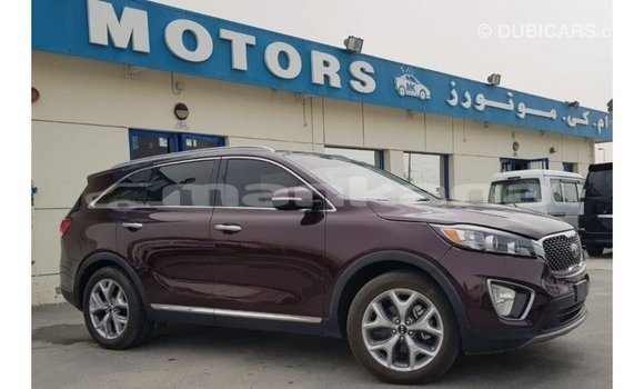 Buy Import Kia Sorento Red Car in Import - Dubai in Abhasia Buy Import Kia Sorento Red Car in Import - Dubai in Abhasia