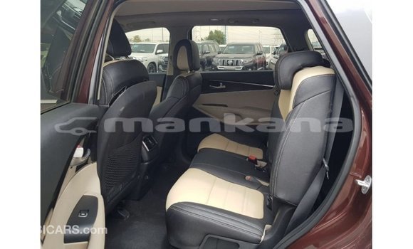 Buy Import Kia Sorento Red Car in Import - Dubai in Abhasia Buy Import Kia Sorento Red Car in Import - Dubai in Abhasia