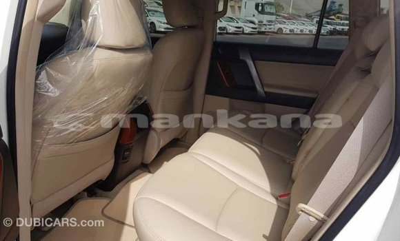 Buy Import Toyota Prado White Car in Import - Dubai in Abhasia Buy Import Toyota Prado White Car in Import - Dubai in Abhasia