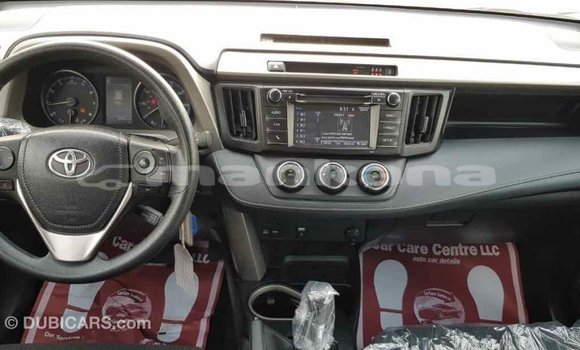 Buy Import Toyota RAV4 Black Car in Import - Dubai in Abhasia Buy Import Toyota RAV4 Black Car in Import - Dubai in Abhasia