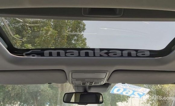 Buy Import Honda C Other Bike in Import - Dubai in Abhasia Buy Import Honda C Other Bike in Import - Dubai in Abhasia