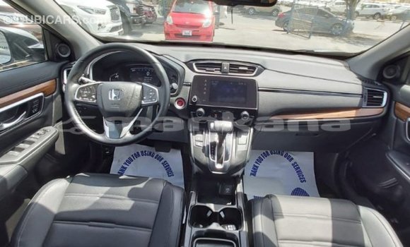 Buy Import Honda C Other Bike in Import - Dubai in Abhasia Buy Import Honda C Other Bike in Import - Dubai in Abhasia