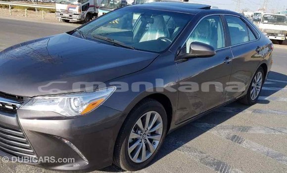Buy Import Toyota Camry Other Car in Import - Dubai in Abhasia Buy Import Toyota Camry Other Car in Import - Dubai in Abhasia