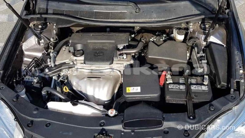 Big with watermark d00dbe1c bb4f 4de9 9aad 3ebf265941fa