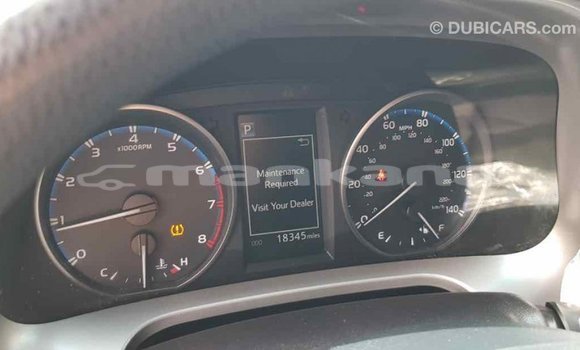 Buy Import Toyota RAV4 Other Car in Import - Dubai in Abhasia Buy Import Toyota RAV4 Other Car in Import - Dubai in Abhasia