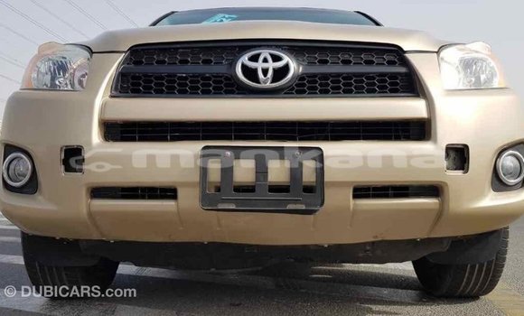 Buy Import Toyota RAV4 Other Car in Import - Dubai in Abhasia Buy Import Toyota RAV4 Other Car in Import - Dubai in Abhasia