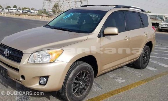 Buy Import Toyota RAV4 Other Car in Import - Dubai in Abhasia Buy Import Toyota RAV4 Other Car in Import - Dubai in Abhasia