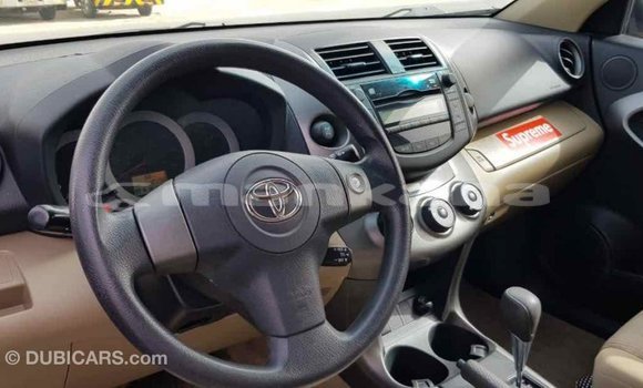 Buy Import Toyota RAV4 Other Car in Import - Dubai in Abhasia Buy Import Toyota RAV4 Other Car in Import - Dubai in Abhasia