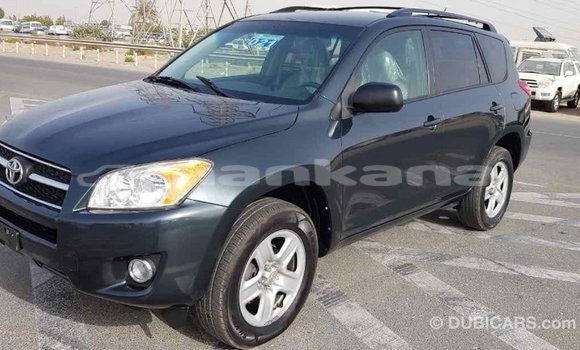 Buy Import Toyota RAV4 Green Car in Import - Dubai in Abhasia Buy Import Toyota RAV4 Green Car in Import - Dubai in Abhasia
