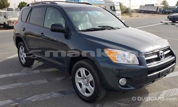 Buy Import Toyota RAV4 Green Car in Import - Dubai in Abhasia Buy Import Toyota RAV4 Green Car in Import - Dubai in Abhasia