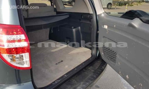 Buy Import Toyota RAV4 Green Car in Import - Dubai in Abhasia Buy Import Toyota RAV4 Green Car in Import - Dubai in Abhasia