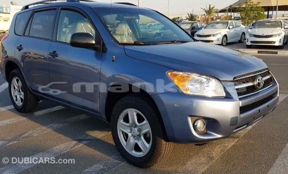 Buy Import Toyota RAV4 Blue Car in Import - Dubai in Abhasia Buy Import Toyota RAV4 Blue Car in Import - Dubai in Abhasia