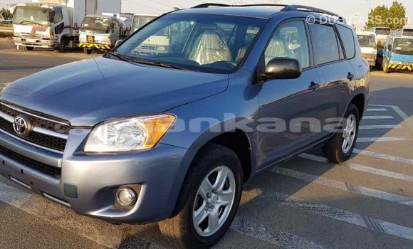 Buy Import Toyota RAV4 Blue Car in Import - Dubai in Abhasia Buy Import Toyota RAV4 Blue Car in Import - Dubai in Abhasia