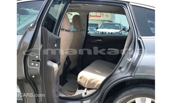 Buy Import Honda C Other Bike in Import - Dubai in Abhasia Buy Import Honda C Other Bike in Import - Dubai in Abhasia