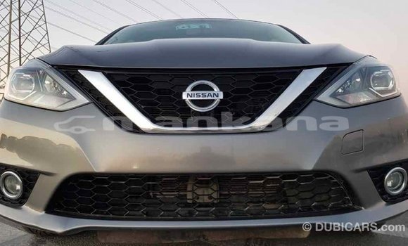Buy Import Nissan Sentra Other Car in Import - Dubai in Abhasia Buy Import Nissan Sentra Other Car in Import - Dubai in Abhasia