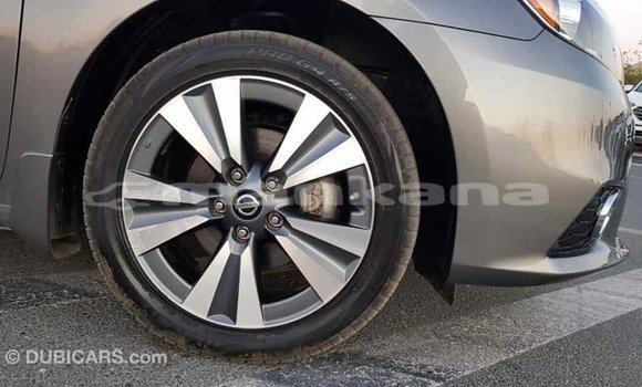Buy Import Nissan Sentra Other Car in Import - Dubai in Abhasia Buy Import Nissan Sentra Other Car in Import - Dubai in Abhasia
