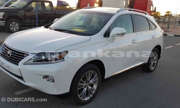 Buy Import Lexus RX 350 White Car in Import - Dubai in Abhasia Buy Import Lexus RX 350 White Car in Import - Dubai in Abhasia