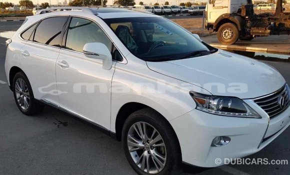 Buy Import Lexus RX 350 White Car in Import - Dubai in Abhasia Buy Import Lexus RX 350 White Car in Import - Dubai in Abhasia