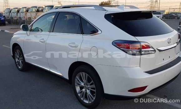 Buy Import Lexus RX 350 White Car in Import - Dubai in Abhasia Buy Import Lexus RX 350 White Car in Import - Dubai in Abhasia
