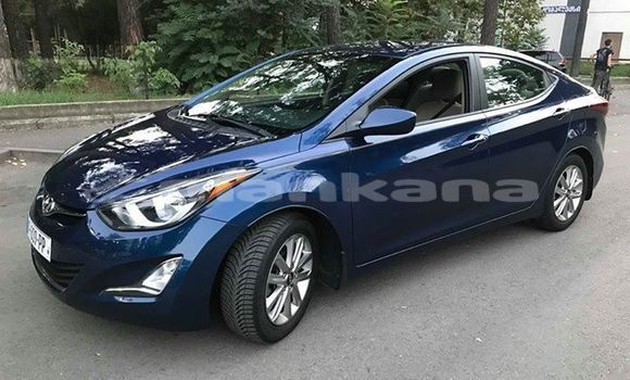 Buy Used Hyundai Elantra Blue Car in Tbilisi in Tbilisi