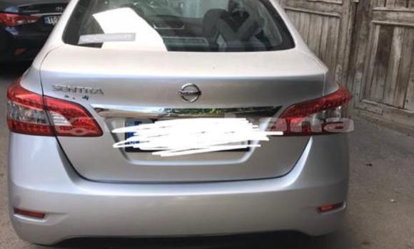 Buy Used Nissan Sentra Silver Car in Tbilisi in Tbilisi Buy Used Nissan Sentra Silver Car in Tbilisi in Tbilisi