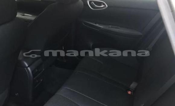 Buy Used Nissan Sentra Silver Car in Tbilisi in Tbilisi Buy Used Nissan Sentra Silver Car in Tbilisi in Tbilisi