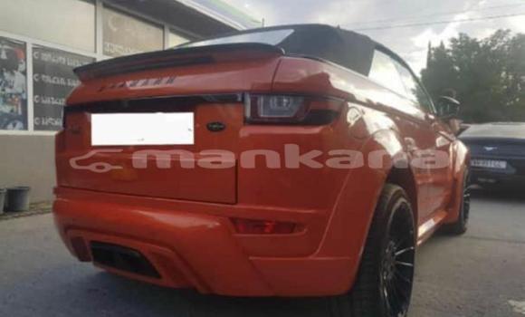 Buy New Land Rover Range Rover Evoque Other Car in Tbilisi in Tbilisi Buy New Land Rover Range Rover Evoque Other Car in Tbilisi in Tbilisi