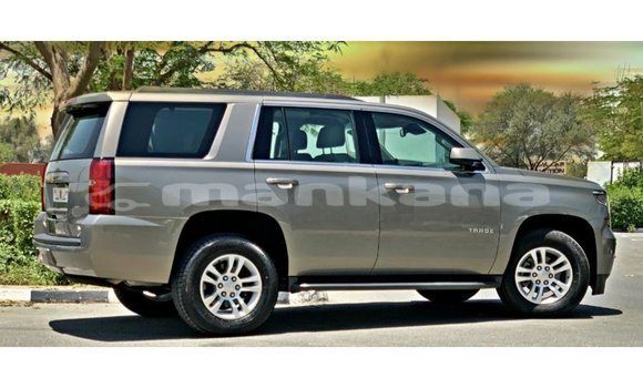 Buy Import Chevrolet Tahoe Other Car in Import - Dubai in Abhasia Buy Import Chevrolet Tahoe Other Car in Import - Dubai in Abhasia