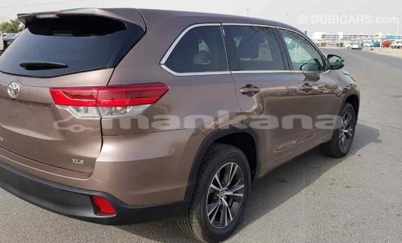 Buy Import Toyota Highlander Brown Car in Import - Dubai in Abhasia Buy Import Toyota Highlander Brown Car in Import - Dubai in Abhasia