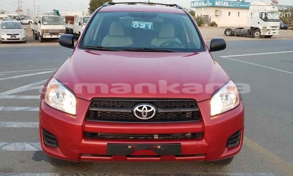 Buy Import Toyota RAV4 Red Car in Import - Dubai in Abhasia Buy Import Toyota RAV4 Red Car in Import - Dubai in Abhasia
