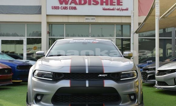 Buy Import Dodge Charger Other Car in Import - Dubai in Abhasia