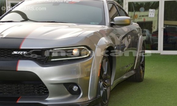 Buy Import Dodge Charger Other Car in Import - Dubai in Abhasia Buy Import Dodge Charger Other Car in Import - Dubai in Abhasia