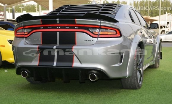 Buy Import Dodge Charger Other Car in Import - Dubai in Abhasia Buy Import Dodge Charger Other Car in Import - Dubai in Abhasia