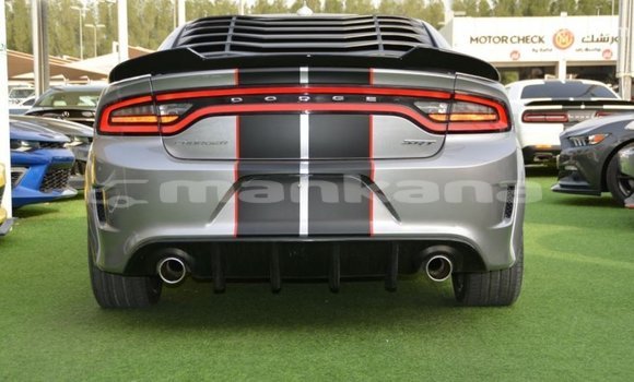 Buy Import Dodge Charger Other Car in Import - Dubai in Abhasia Buy Import Dodge Charger Other Car in Import - Dubai in Abhasia