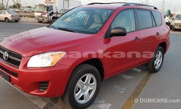 Buy Import Toyota RAV4 Red Car in Import - Dubai in Abhasia Buy Import Toyota RAV4 Red Car in Import - Dubai in Abhasia