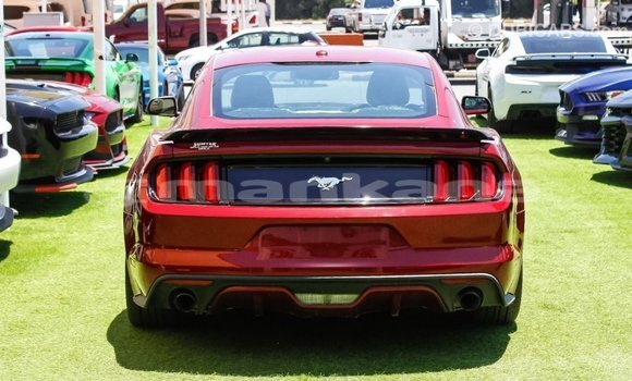 Buy Import Ford Mustang Red Car in Import - Dubai in Abhasia Buy Import Ford Mustang Red Car in Import - Dubai in Abhasia