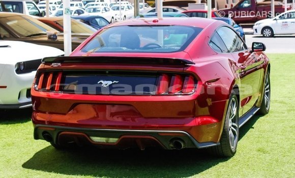 Buy Import Ford Mustang Red Car in Import - Dubai in Abhasia Buy Import Ford Mustang Red Car in Import - Dubai in Abhasia