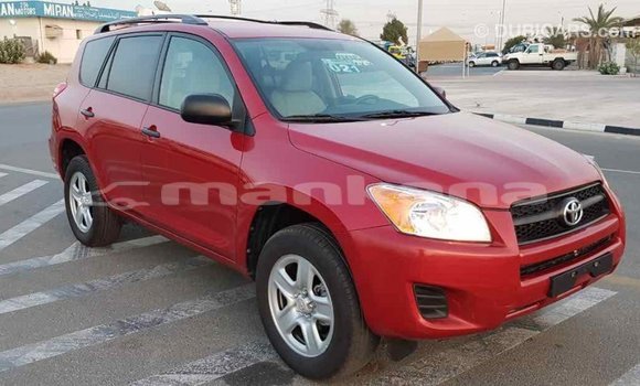 Buy Import Toyota RAV4 Red Car in Import - Dubai in Abhasia Buy Import Toyota RAV4 Red Car in Import - Dubai in Abhasia