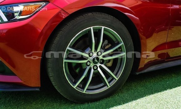 Buy Import Ford Mustang Red Car in Import - Dubai in Abhasia Buy Import Ford Mustang Red Car in Import - Dubai in Abhasia