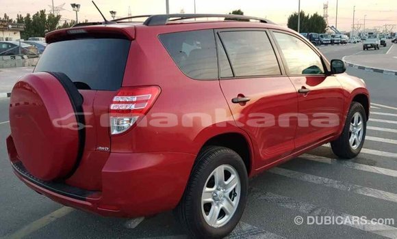Buy Import Toyota RAV4 Red Car in Import - Dubai in Abhasia Buy Import Toyota RAV4 Red Car in Import - Dubai in Abhasia
