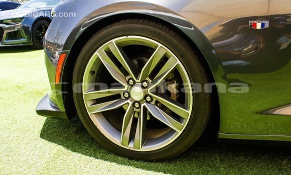 Buy Import Chevrolet Camaro Other Car in Import - Dubai in Abhasia Buy Import Chevrolet Camaro Other Car in Import - Dubai in Abhasia