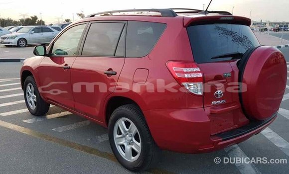 Buy Import Toyota RAV4 Red Car in Import - Dubai in Abhasia Buy Import Toyota RAV4 Red Car in Import - Dubai in Abhasia