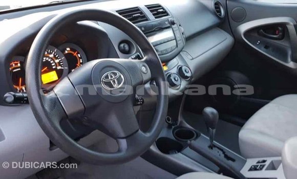 Buy Import Toyota RAV4 Red Car in Import - Dubai in Abhasia Buy Import Toyota RAV4 Red Car in Import - Dubai in Abhasia