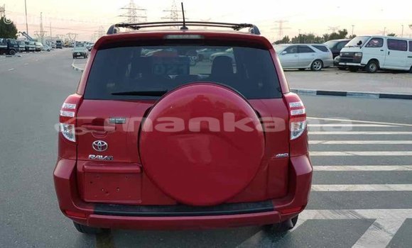 Buy Import Toyota RAV4 Red Car in Import - Dubai in Abhasia Buy Import Toyota RAV4 Red Car in Import - Dubai in Abhasia