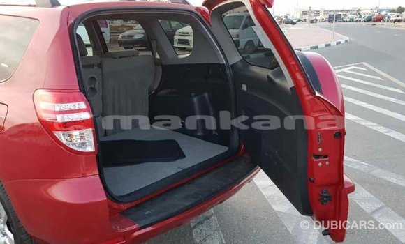 Buy Import Toyota RAV4 Red Car in Import - Dubai in Abhasia Buy Import Toyota RAV4 Red Car in Import - Dubai in Abhasia