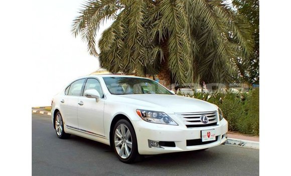 Buy Import Lexus LS White Car in Import - Dubai in Abhasia