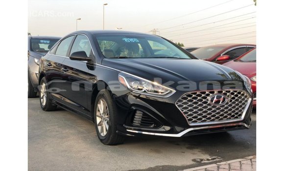 Buy Import Hyundai Sonata Black Car in Import - Dubai in Abhasia Buy Import Hyundai Sonata Black Car in Import - Dubai in Abhasia