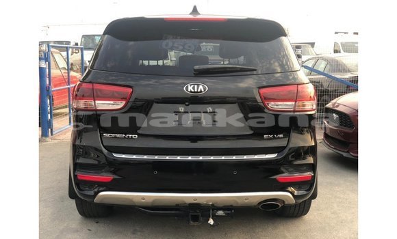 Buy Import Kia Sorento Black Car in Import - Dubai in Abhasia Buy Import Kia Sorento Black Car in Import - Dubai in Abhasia